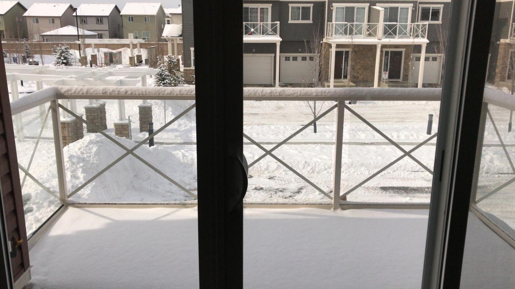 Home Stay! Calgary Extérieur photo